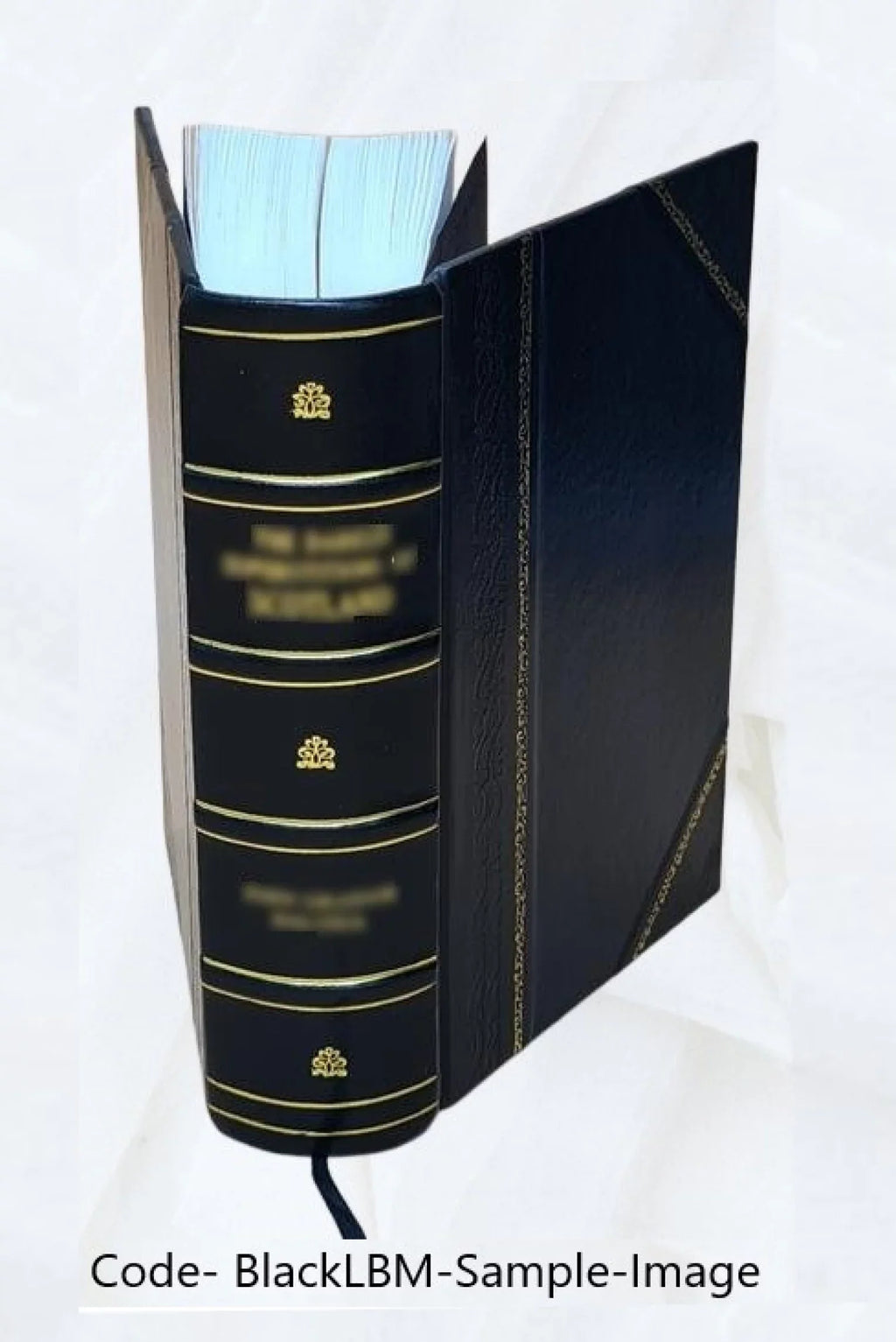 A mendis accuratè repurgata, vivisque imaginibus eleganter & opportunè suis locis illustrata 1 1578 [Leather Bound]. Pauli Iovij Novocomensis Opera quotquot extant omnia