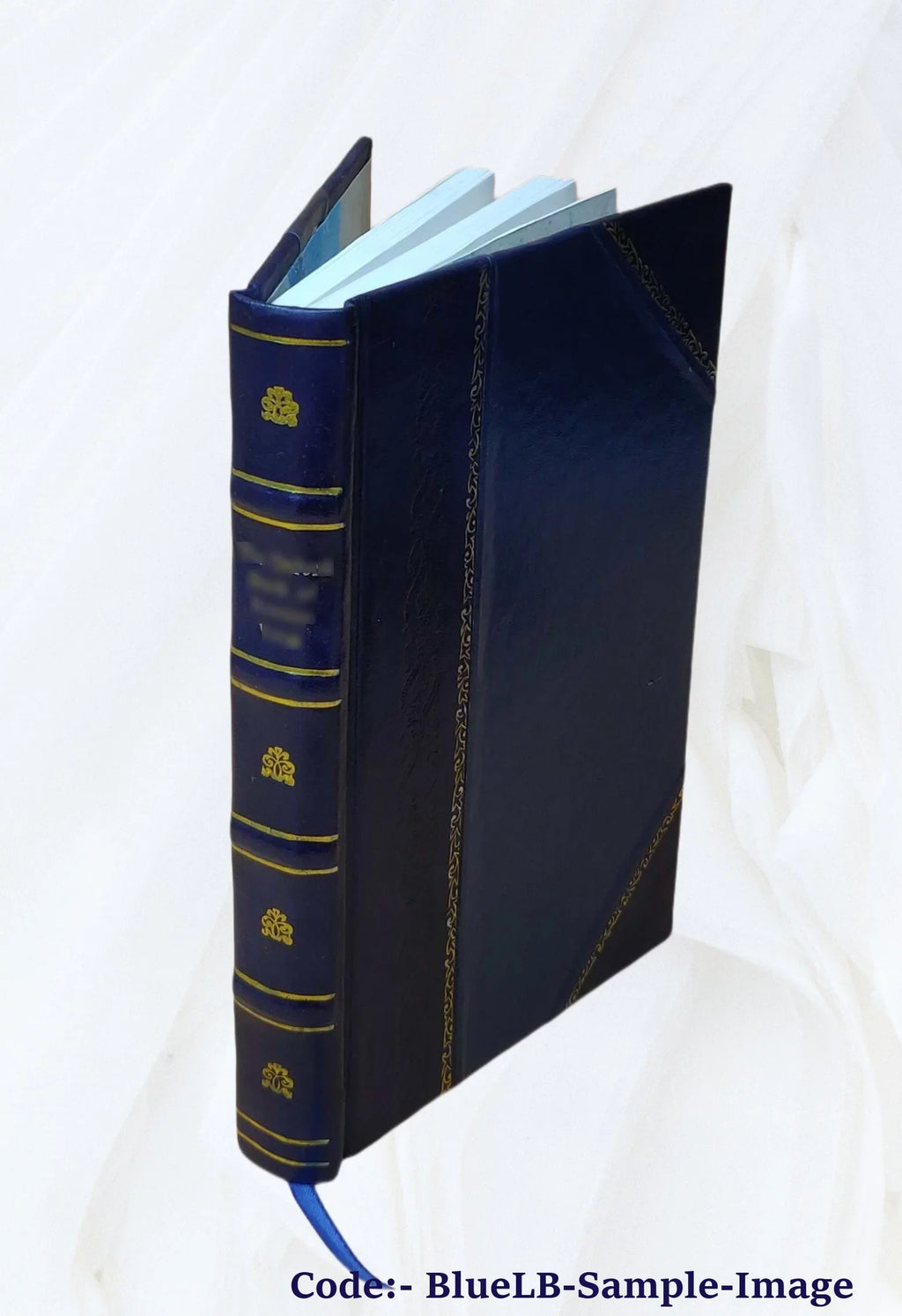 1 1926 [Leather Bound]. Volume v. Voyageurs d'Orient