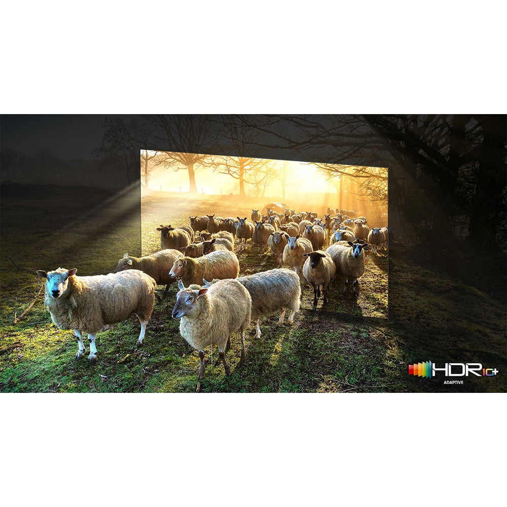 Restored  QN75QN900A 75 Inch Neo QLED 8K Smart TV (2021) Bundle with 2 Year Premium Extended Protection Plan (Refurbished)