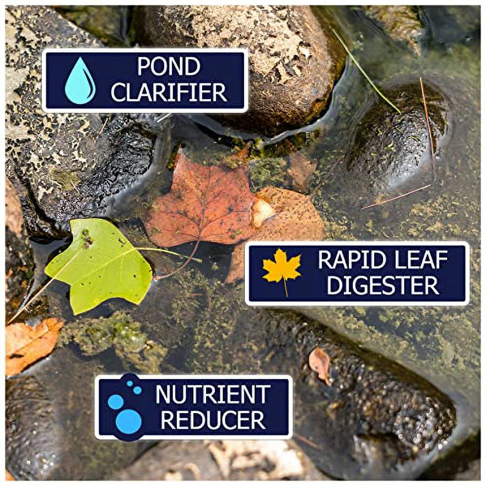 WinterKleen Fall & Winter Bacteria for Ponds | Koi Pond Winterizer, Leaf Digester, Natural Cleaner - Powerful Concentrated Enzymes and Microbes Clean Pond liquid