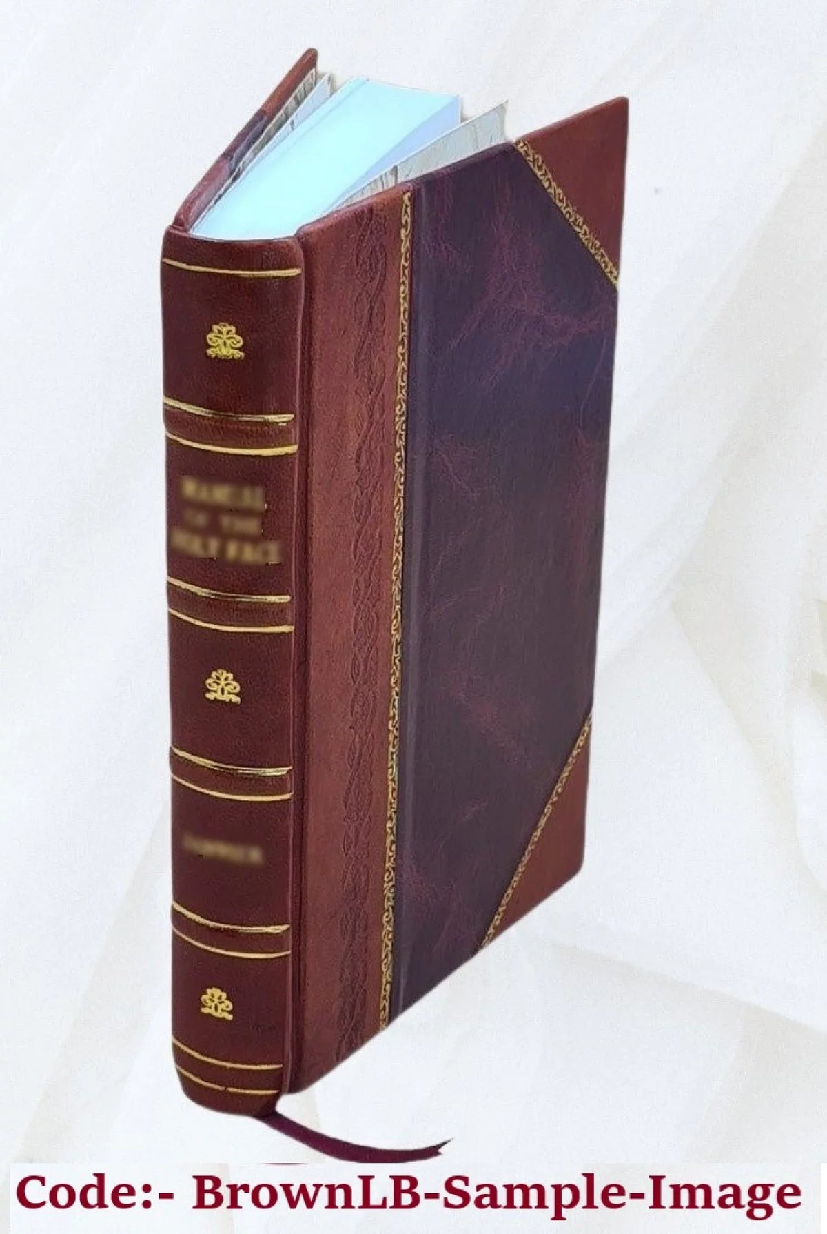 Volume v.7 1924-1925 1925 [Leather Bound]. Michigan living - motor news